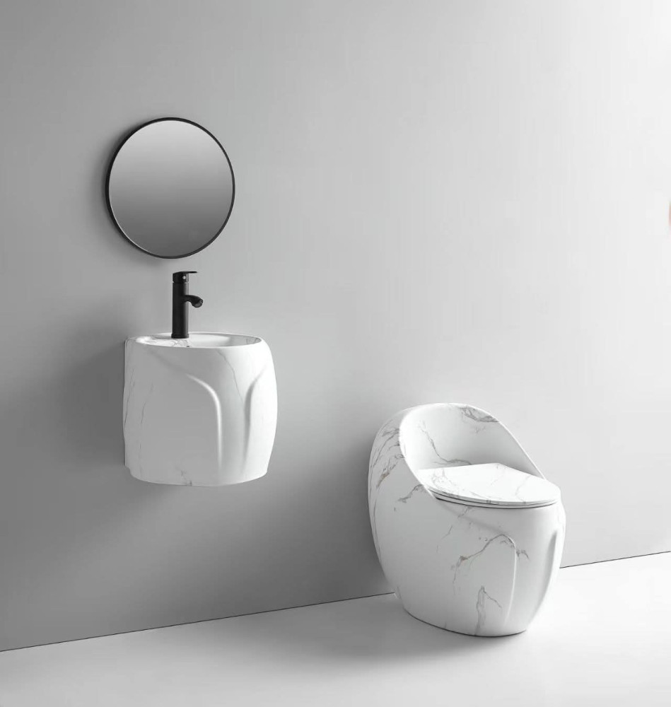 Golden Dragon toilet set, including a one-piece ceramic toilet and matching pedestal wash basin