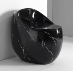 Marroit bidet toilet 