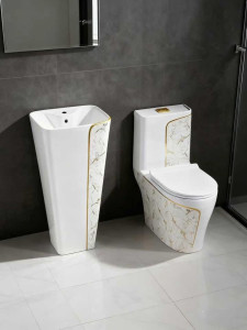 Modern Cermic bathroom set featuring a frestanding pedestal wash basin and a matching floor-mounted one-piece toilet