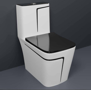 Modern one-piece ceramic water closet featuring a white with black accent lines