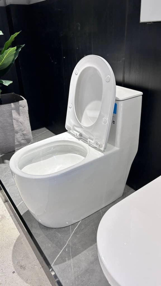 the white , modern one-piece toilet features a streamlined designed and a soft-close seat