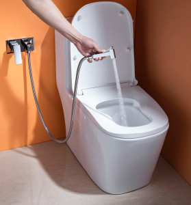 Shevanik S9605-1 hygienic shower bidet set