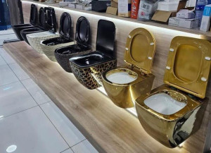 luxurious wall-hung ceramic toilets