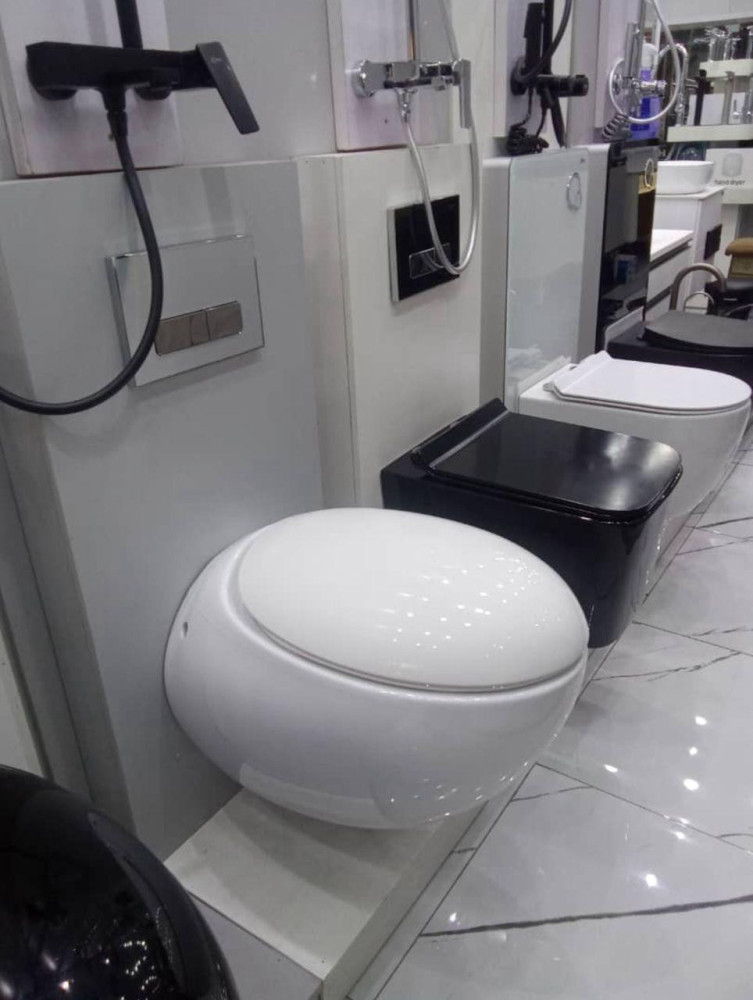 Midas Elipse wall hung Toilet, a luxury, egg-shaped water closet with a concealed cistern
